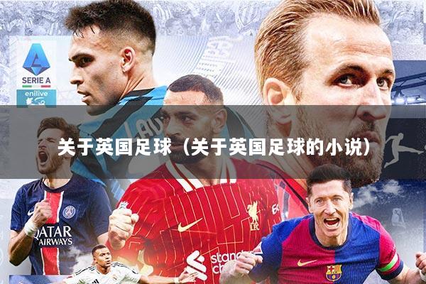 关于英国足球（关于英国足球的小说）